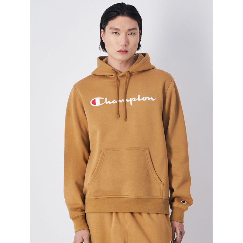 sweat-a-capuche-uni-990tgw-1.jpg